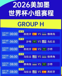2026年全球用户突破